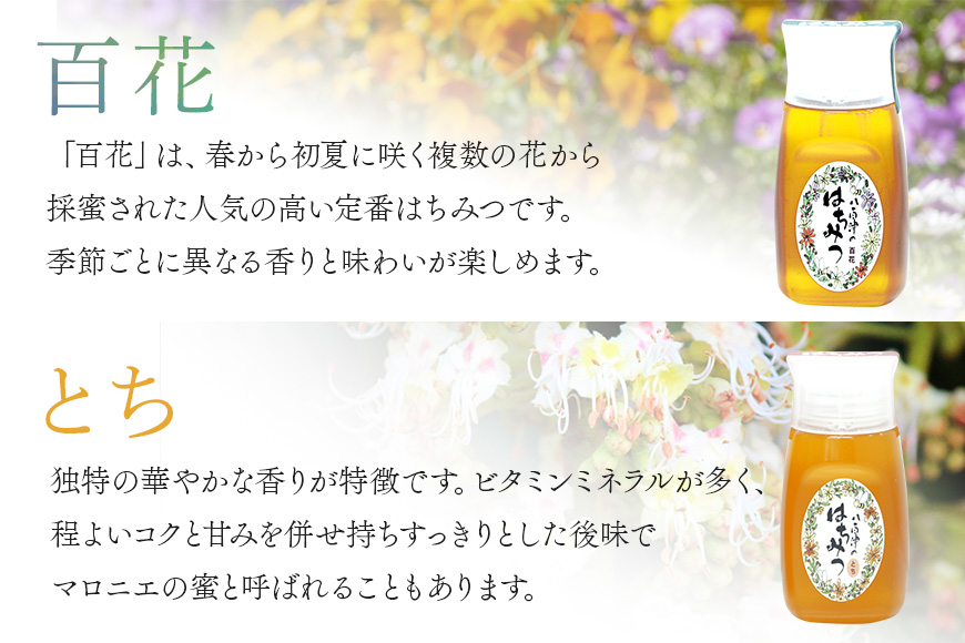 使いやすいプラ容器入り 非加熱生はちみつ 百花 とち 各300g 計2本 純粋生はちみつ 食べ比べ