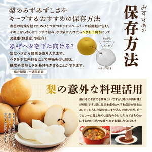 幸水梨 ご自宅用 約5kg【先行予約・数量限定】世羅 幸水農園 幸水 梨 せら なし フルーツ 果物 くだもの 甘い 果汁 ジューシー デザート 産地直送 JGAP認証 新鮮【2026年8月中旬以降順