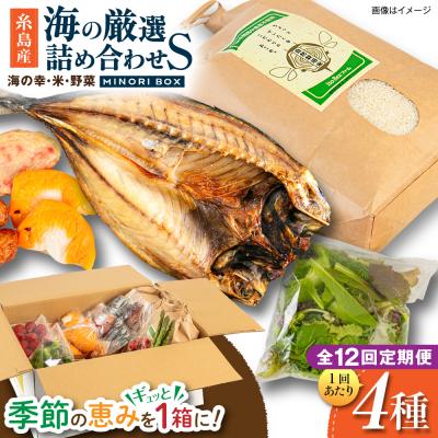 ふるさと納税 糸島市 全12回定期便 糸島産 魚 米 野菜 果物 厳選詰め合わせ MINORI BOX S[AOP022]