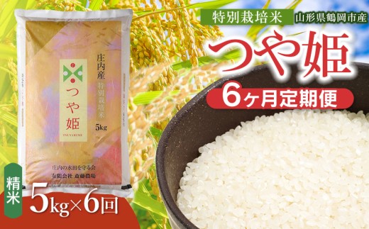 【令和8年産 新米】【定期便6ヵ月】斎藤農場の特別栽培米 つや姫 精米 5kg(5kg×1袋)×6ヶ月 山形県鶴岡市 K-840 | 米 こめ コメ つやひめ ブランド米 庄内米 ごはん ご飯 美味しい 国産 おにぎり 農家直送 おすすめ 人気 お取り寄せ 返礼品