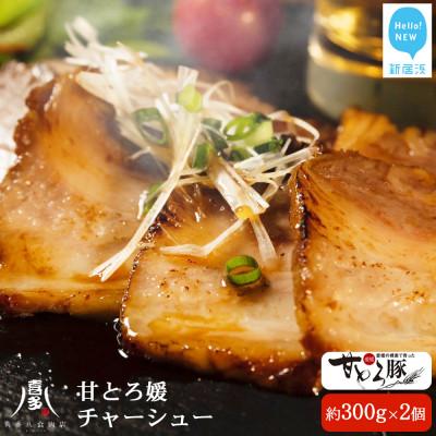 ふるさと納税 新居浜市 愛媛産 ブランド豚 「甘とろ豚」使用 甘とろ媛チャーシュー(約300g×2個) 食べ比べセット