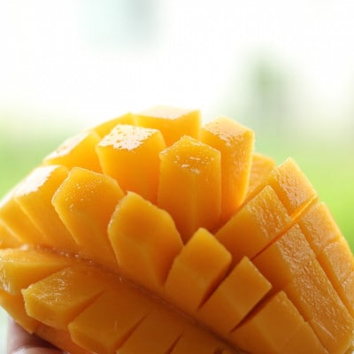 【2026年7月上旬から順次発送・贈答用】島袋さんの完熟アップルマンゴー 2kg(4～5玉)【配送不可地域：離島】