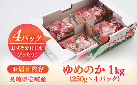 【先行予約】【2025年3月以降順次発送】壱岐市産 いちご ゆめのか 1kg（250g×4パック）《壱岐市》【壱岐市農業協同組合】 イチゴ フルーツ 果物 スムージー 完熟 春いちご 先行予約 数量限