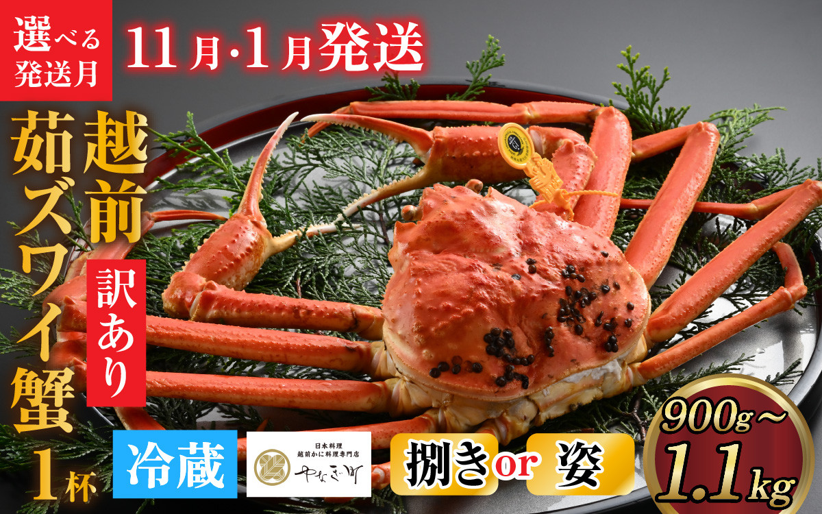 
            【先行予約】[捌き済選択可][到着日指定可]【訳あり】蟹好きが唸る老舗カニ料理店の越前茹ズワイ蟹 大サイズ(900g～1.1ｋg)　＜11月、1月発送分＞【11月上旬より順次発送】 [J-085030]
          