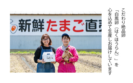 白鳳卵：業務用加熱たまご 5kg