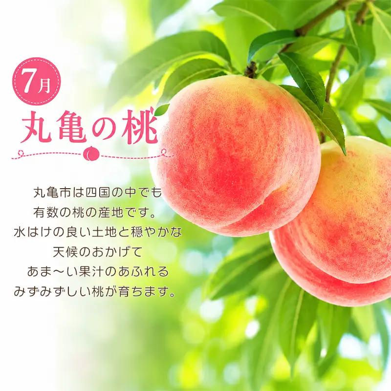 【定期便3回】 桃 シャインマスカット 夏野菜 野菜