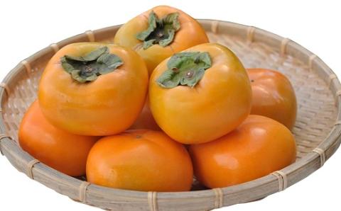 食の都庄内　庄内柿（元祖種無し渋抜き）約4kg（2kg×2箱）※10月中下旬～11月下旬配送 [HS4-031(庄内旬青果)] 約4kg（2kg×2箱） ￥14,000