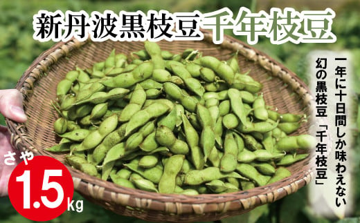 
新丹波黒 枝豆 千年枝豆 1.5kg さや 【 京都 丹波 京丹波町産 期間限定 生産者限定 国産 こだわり 厳選 黒豆 枝豆 おつまみ 】 [011HY001L]
