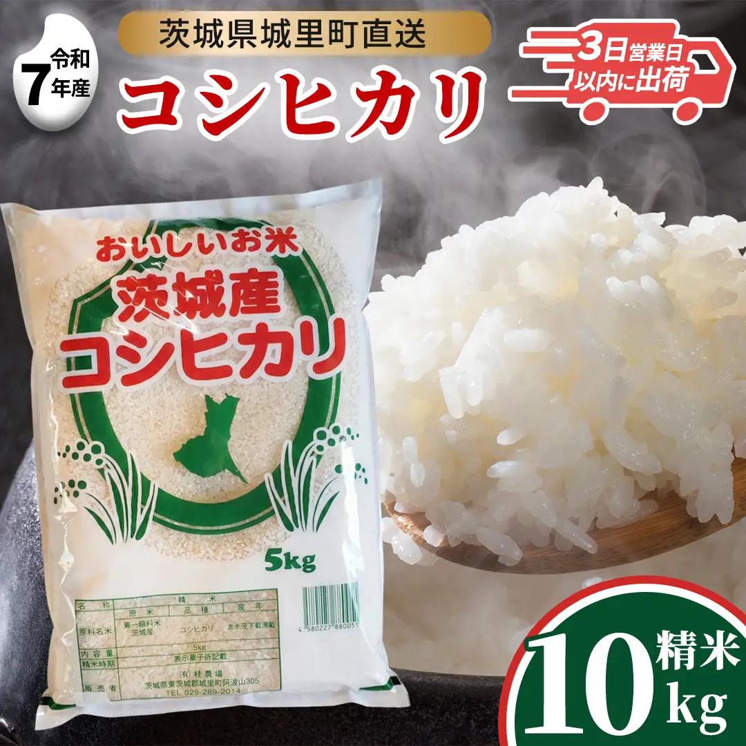 【令和7年産】 コシヒカリ 精米 10kg  (5kg×2袋)  スピード発送  産地直送 茨城県 城里町 新米 精白米 米 ご飯 こしひかり 米 白米 精米 単一原料米 (AX035)