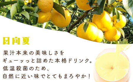 あふれる果実感！マンゴー・日向夏ドリンク２本セット(各720ml)_K021-017