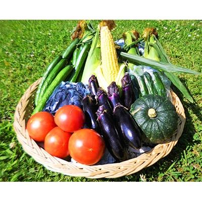 ふるさと納税 登米市 『つやま産直発!ときめきパック』　季節の野菜と加工品のセット