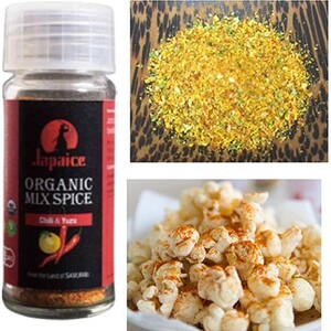 有機スパイスセット｜無添加 スパイス スパイス スパイス スパイスミックススパイス 国産 有機 有機JAS認定 調味料 YF-5