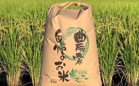 玄米 令和7年産 新米 10kg 玄米 単一原料米 れんげハツシモ