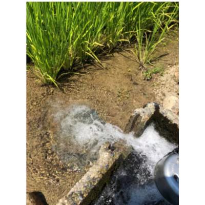 ふるさと納税 五泉市 【毎月定期便】特別栽培米コシヒカリ「南郷米」玄米10kg(5kg×2袋)全3回 |  | 02