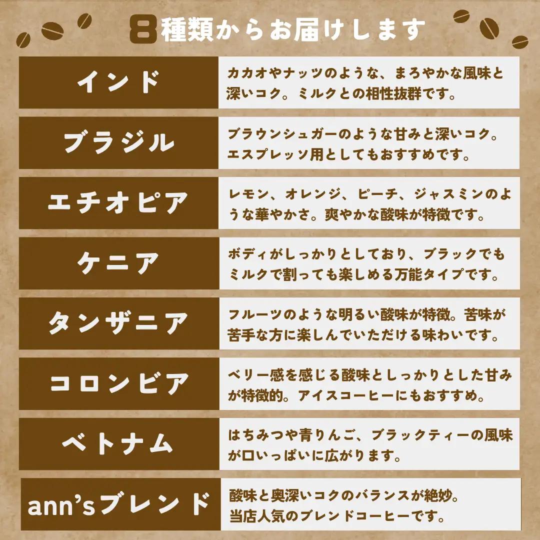 コーヒー豆 【店主おまかせ】 ann's cafe 100g×3種 コーヒー豆