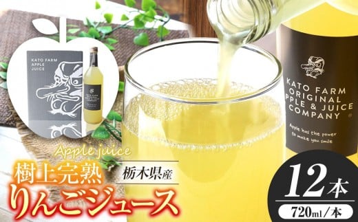 栃木県矢板市産 樹上完熟100％りんごジュース 720ml×12本入  | 林檎 リンゴ 果汁100% 産地直送