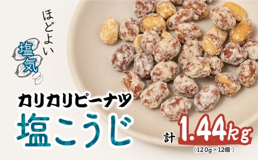 カリカリぴーなつ 塩こうじ 120g×12個入 鳩屋 | 埼玉県 北本市 落花生 ラッカセイ ぴーなつ ピーナツ ぴーなっつ ピーナッツ おつまみ お菓子 おやつ 美味しい 酒のつまみ 家飲み ビールに合う 間食  塩こうじ 塩麹