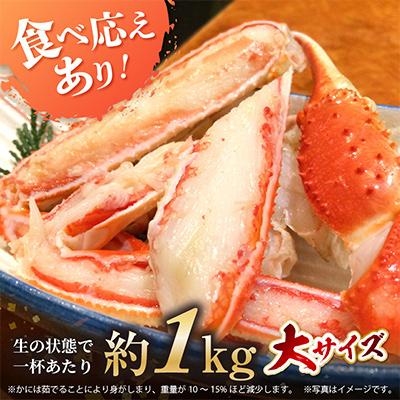 ふるさと納税 美浜町 【2025年3月上旬頃より順次お届け】越前がに　大1杯 |  | 02