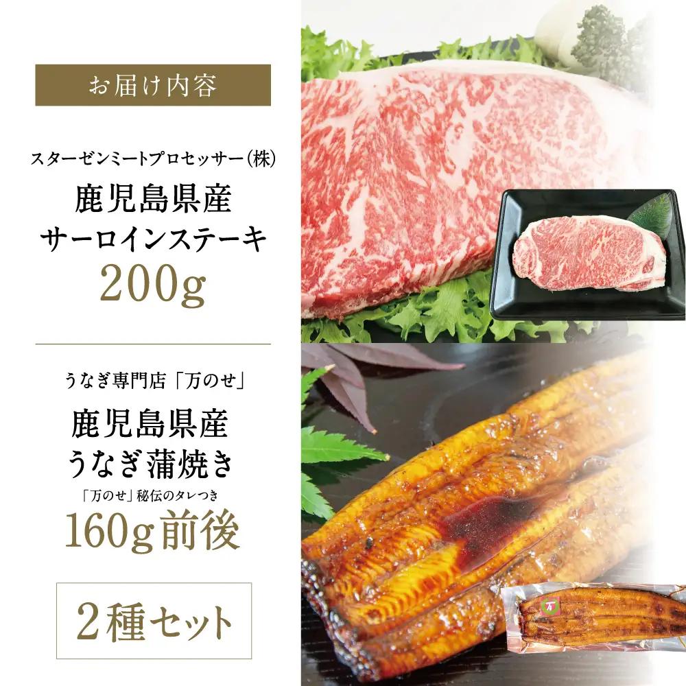 鹿児島県産黒毛和牛サーロインステーキ＆国産うなぎ蒲焼き スタミナセット（同梱発送） 鹿児島県産黒毛和牛 牛肉 サーロイン 鰻 ギフト 贈答 冷凍 スターゼン