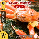 【ふるさと納税】【訳あり】≪浜茹で≫足折れ 越前がに 大サイズ × 1杯（生で0.9〜1kg）地元で喜ばれるゆで加減・塩加減でお届け！【雄 ズワイガニ ずわいがに 姿 ボイル 冷蔵 福井県】【12月発送分】希望日指定可 備考欄に希望日をご記入ください [e23-x002_12]