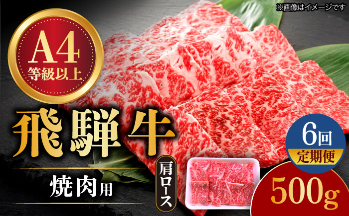 
            【6回定期便】 飛騨牛 焼肉用 ロース・肩ロース 500g A4等級以上 和牛 ブランド牛 国産 牛肉 多治見市 / 渡辺精肉店 [TAZ032]
          