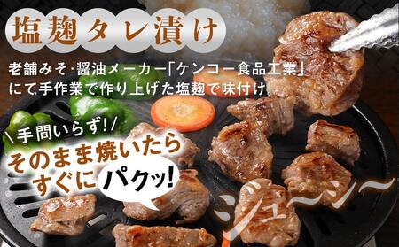 牛中落ちカルビ 塩麹タレ漬け900g≪みやこんじょ特急便≫_LG-3324-Q_(都城市)  味付き牛中落ちカルビ 300gパック 真空 小分け 900g
