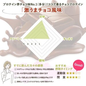 ビーレジェンド WPCプロテイン 激うまチョコ風味 1kg×10袋セット【1586063】