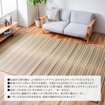 ふるさと納税 八代市 熊本県八代市産のい草を使って丹精込めて織り上げた『タロ』江戸間3畳:ベージュ_022-6506 |  | 02