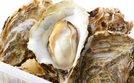 かき小屋気分で牡蠣三昧セット 【殻付き牡蠣10個 / 殻付き牡蠣大サイズ5個 / むき身牡蠣500g】