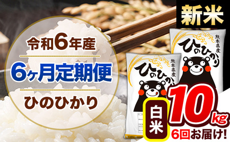 【6ヶ月定期便】令和6年産 新米 定期便 ひのひかり 10kg 《申込み翌月から発送》 ｜人気米 熊本県産米 お米 生活応援米