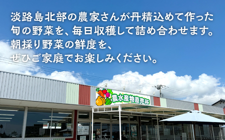 【6回定期便】 淡路島の加工品付き旬の野菜セット10種 / 野菜セット 野菜盛り合わせ 野菜ミックス 野菜ギフト 野菜 旬のお野菜 旬のくだもの 新鮮野菜 お楽しみ レシピ付き 定期便