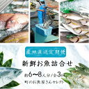 【ふるさと納税】 【3回定期便】魚屋さんの選んだ新鮮お魚詰め合わせ(約6~8人分) 鹿児島 国産 九州産 産直 産地直送 鮮魚 新鮮 魚 海産物 お刺身 煮つけ 焼き魚【マルケイ水産】