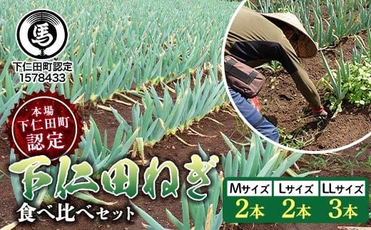 
            本場下仁田町認定ねぎの会会員が作った下仁田ねぎ食べ比べセット（M2本・L2本・LL3本） とろける 甘い ねぎ ネギ 王様ねぎ 殿様ねぎ 特産 栄養たっぷり ブランド 上州ねぎ すきやき F21K-624
          