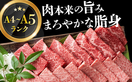 【6回定期便】【訳あり】 A4-A5 長崎和牛 焼肉切り落とし (肩ロース・バラ） 500g [DBS043] 訳アリ 牛肉