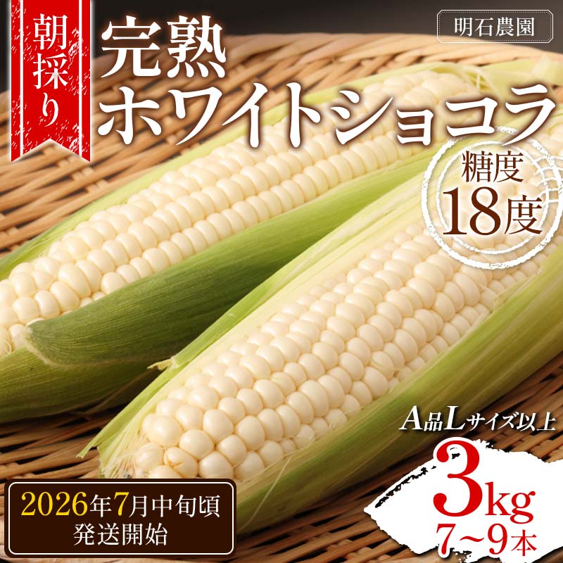 【ふるさと納税】 ＜朝採り＞ 完熟ホワイトショコラ 明石農園 糖度18度 3kg とうもろこし 山形県産 A品 Lサイズ以上 《先行予約2026年度7月中旬頃発送開始》 とうきび トウキビ トウモロコシ コーン 野菜 食品 山形県 FSY-1292