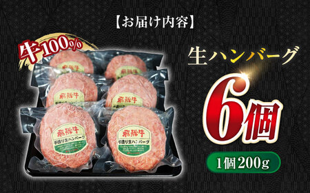 飛騨牛 生ハンバーグ 6個  生ハンバーグ[ANBO030]