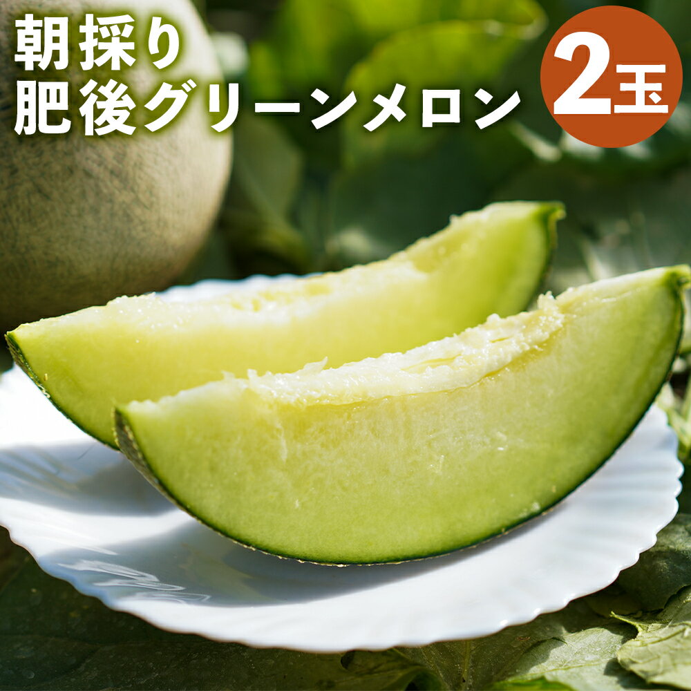 【ふるさと納税】つるたファームの朝採り肥後グリーンメロン 2玉 1玉1.8kg以上 フルーツ 果物 メロン 菊池市 熊本県産 九州産 送料無料【2026年5月上旬〜5月下旬に順次発送予定】