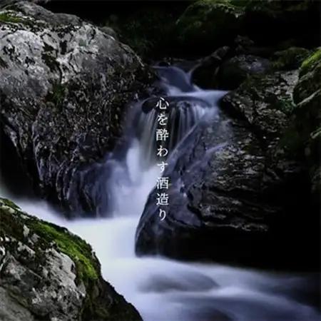 純米 いぬとあきたこまち　1800ml×1本_酒・アルコール  日本酒 sake サケ_【1533494】