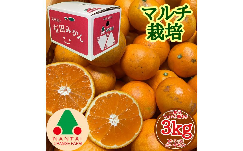 
            ちょっと 傷あり マルチ栽培 有田 みかん M ~ SS サイズ 3kg 手さげ箱 南泰園
          