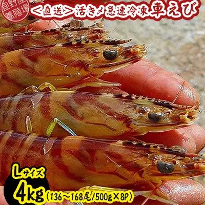車海老 活き〆急速冷凍車海老 Lサイズ 約4kg
