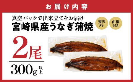 【丑の日】宮崎県育ちのうなぎ蒲焼2尾300g以上≪山椒・たれ付≫≪7月20日～25日お届け≫〔13-M301-UG〕_(都城市) うなぎ蒲焼(有頭) 宮崎県産 真空 山椒・たれ付  土用の丑の日