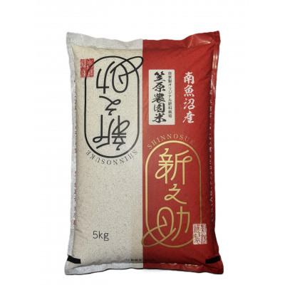 ふるさと納税 南魚沼市 南魚沼産 笠原農園米 新之助 5kg