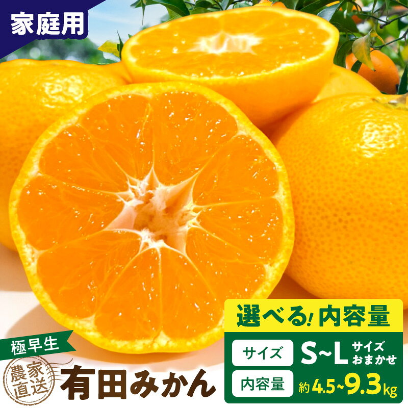 【ふるさと納税】【2026年先行予約】 有田みかん 極早生 選べる 内容量 約 4.5kg 9.3kg 家庭用 11月発送 完熟 甘み 酸味 バランス みかん 柑橘 フルーツ デザート 果実 むきやすい 農家直送 傷あり お取り寄せ 和歌山県 湯浅町 送料無料