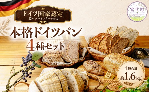パン ドイツ国家認定製パンマイスターが作る本格ドイツパン 4種セット | ドイツパン ライ麦パン ハードパン パンセット パン詰め合わせ 冷凍パン 食事パン 朝食パン 本格ドイツパン 有機ライ麦 オーガニックライ麦 有機小麦 全粒粉 低GI 噛みごたえ ベーカリー 手作りパン ドイツパンセット ハード系 ライ麦100％ トースト 朝食 冷凍便 食べ比べ アムフルス 宮代町 宮代 埼玉県