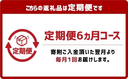 【6ヶ月定期便】『倉敷うどん ぶっかけ』ファミリーセット(半生) 18人前×6回 うどん 麺類 麺 半生 半生麺 ぶっかけうどん タレ つゆ 岡山県 倉敷市