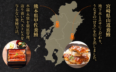 【熊本県産】国産うなぎ 蒲焼 1尾 うなぎ