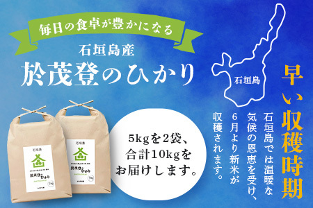 石垣島産 於茂登(おもと)のひかり 10kg みやぎ米屋【 日本一早い新米の産地  お米 産地直送 旬 しきゆたか 沖縄県 石垣市 送料無料 】MK-2