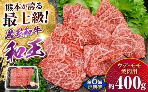 【全6回定期便】熊本県産 A5等級 黒毛和牛 和王 ウデ・モモ 焼肉用 約400g 計約2.4kg【帝神志方ミート 株式会社】 [AYCH026]