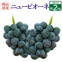 【ふるさと納税】岡山県産 ニューピオーネ 4房（1房480g以上） 【2025年8月下旬～10月上旬迄発送予定】 果物 くだもの フルーツ ぶどう ブドウ 葡萄 岡山 おかやま 国産 冷蔵 お取り寄せ 岡山県 奈義町 送料無料