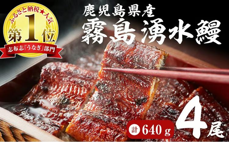 【志布志市人気No.1お礼の品】霧島湧水鰻の蒲焼き 140g以上×4尾＜計560g以上＞ a6-078
